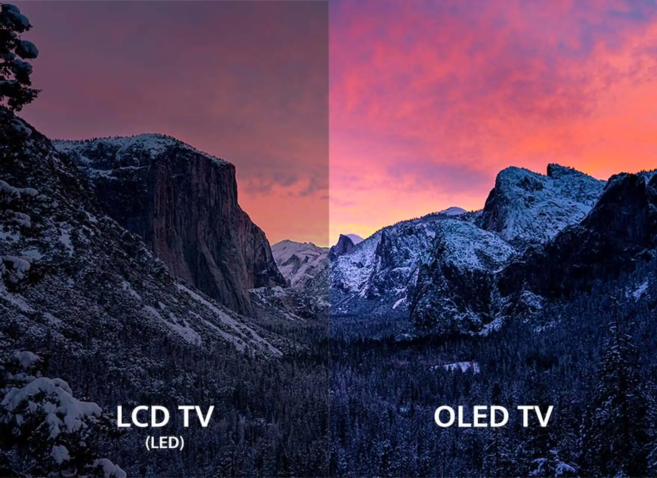 LED vs. OLED Contrast Comparison